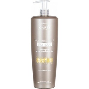 Hair Company Professional Шампоан за боядисана коса HAIR COMPANY Inimitable Style