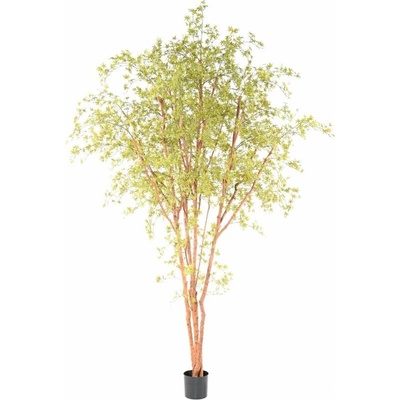 ARALIA PE STROM UV, 330cm