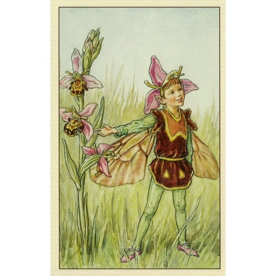 Pohlednice Květinová víla 64