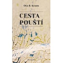 Cesta pouští