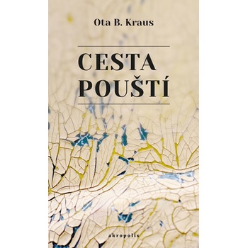 Cesta pouští
