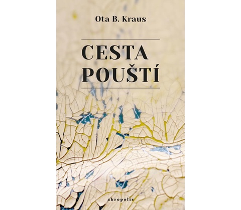 Cesta pouští