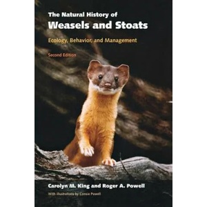 Natural History of Weasels and Stoats | King, Carolyn M. (ISBN: 9780195322712)