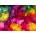 Enjoy - Puzzle Fall Leaves Abstract - 1 000 piese