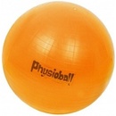 PhysioBall Standard 120cm
