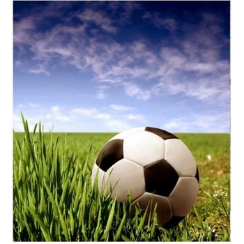 DIMEX ART s. r. o Флизелинов фототапет футболна топка 225 x 250 см