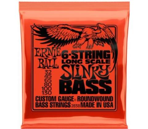 Ernie Ball P02838