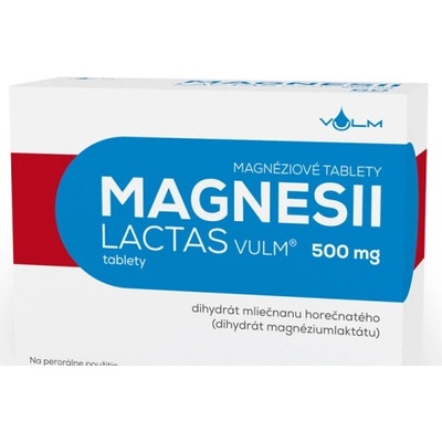 Magnesii Lactas Vulum 500 mg tbl. 60 x 500 mg