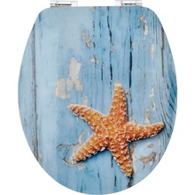 Poseidon Ostsee 23012428