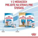 Granule pre psov Royal Canin Starter Mother&Babydog Medium 1 kg