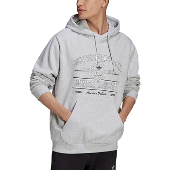 Image 1 of Adidas 2000 Luxe College Hoodie Grey