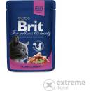 BRIT Premium Cat Adult losos a pstruh 24 x 100 g