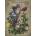 Ravensburger - Puzzle Butterfly life cycle - 1 000 piese