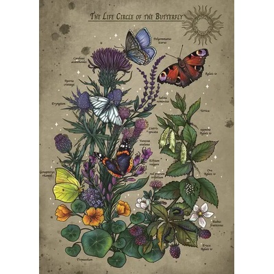 Ravensburger - Puzzle Butterfly life cycle - 1 000 piese