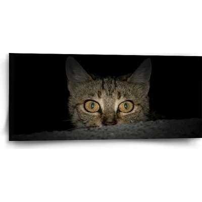 Sablio Obraz Kočka - 110x50 cm