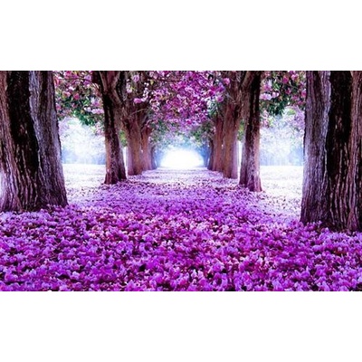 IMPOL TRADE 2379 Fototapeta alej květů rozměr 368 cm x 254 cm – Zboží Mobilmania