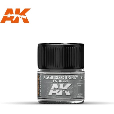 AK Real Colors Aggressor Grey FS 36251 10 ml.