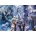 Bluebird Puzzle - Puzzle Anne Stokes: Winter Fantasy - 1 000 piese