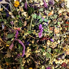Herbarium Projekt IMUNITA liečivé rastliny v čajovej zmesi 30 g