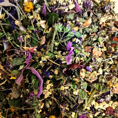 Herbarium Projekt IMUNITA liečivé rastliny v čajovej zmesi 30 g
