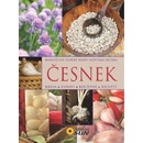 Česnek