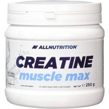 All Nutrition Creatine Muscle Max 250 g