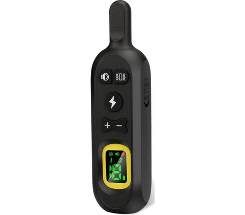 Reedog P19