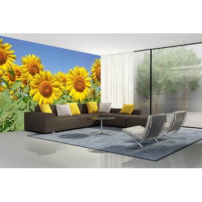 DIMEX ART Самозалепваща се флизелинова фототапета слънчогледово поле 375 x 250 см