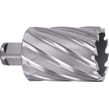 ABSE N-HS-W19-0470050