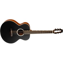 Flight Flight PIXI BK Acoustic Travel