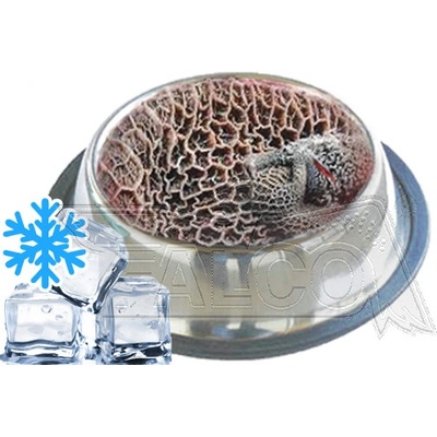 Sokol Falco Hovězí dršťky neprané krájené 1 kg