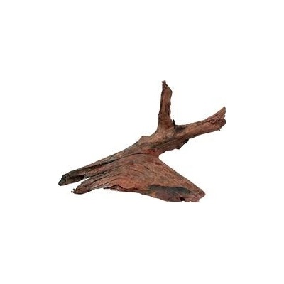 Zolux kořen Mangrove 25/40 cm
