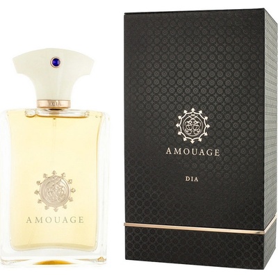 Amouage Dia parfumovaná voda pánska 100 ml