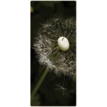 Kondolence (P022)