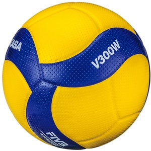 Mikasa V300W 5