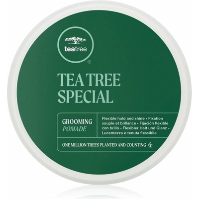 Paul Mitchell Tea Tree Special Grooming Pomade pomáda na vlasy pre definíciu a tvar 85 g
