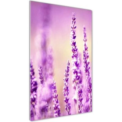 Vertikálny fotoobraz na skle Levanduľa 50x100 cm