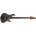 Schecter C 5 S