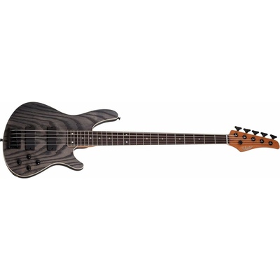 Schecter C 5 S