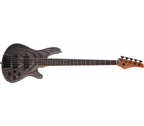 Schecter C 5 S