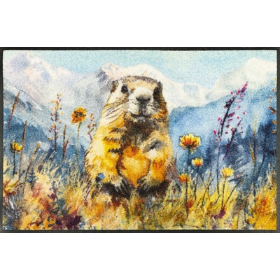 wash+dry Leander 50x75 cm