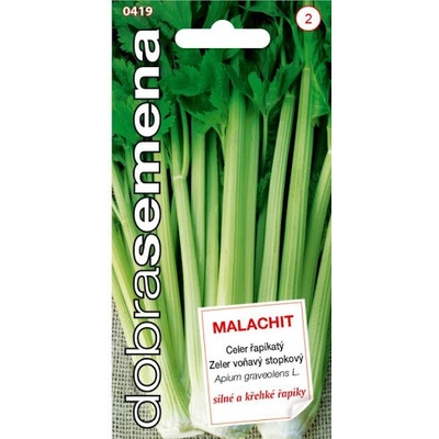 Zeler voňavý stopkový Malachit