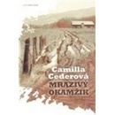 Mrazivý okamžik