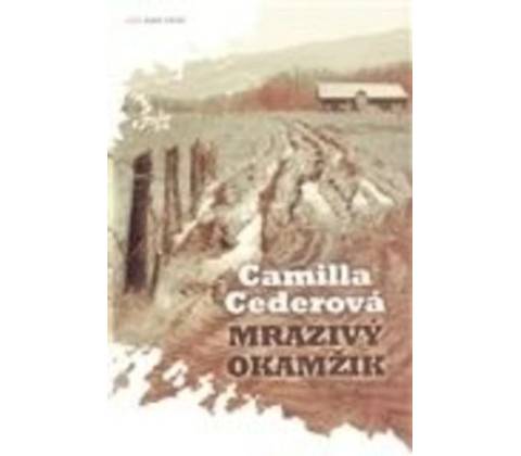 Mrazivý okamžik