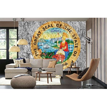 DIMEX ART s. r. o Самозалепваща се флизелинова фототапета тюлен на калифорния 375 x 250 см