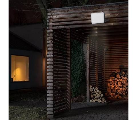Nedes LF7024