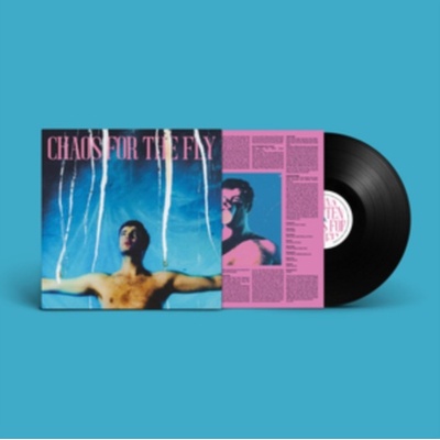 Chaos for the Fly - Grian Chatten LP
