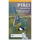Ptáci na krmítku