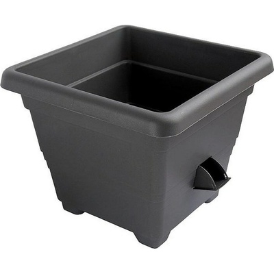 Plastia samozavlažovací BERGAMOT 50 x 50 50 x 50 cm