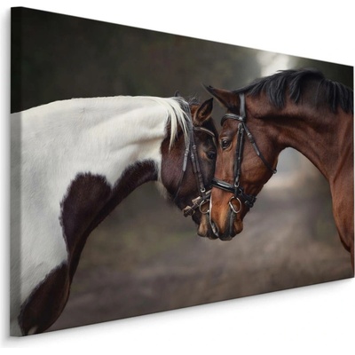 MyBestHome BOX Plátno Koně A Láska Varianta: 70x50